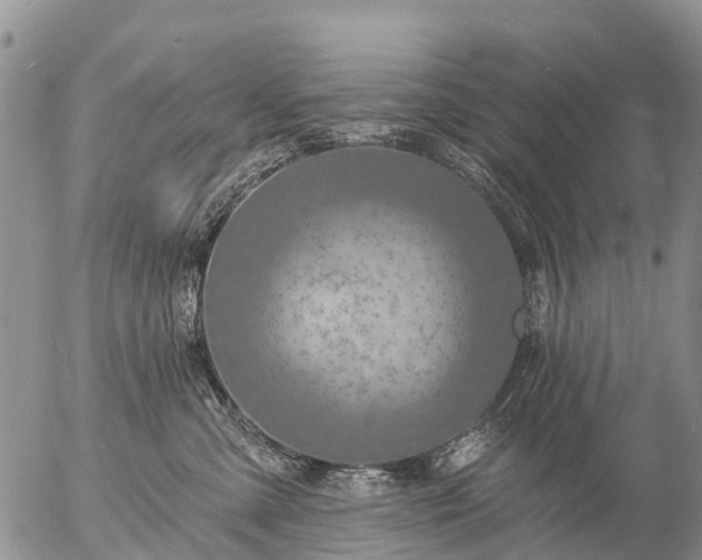 X0000057090427200509161634