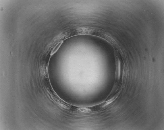 X0000057090429200509161634