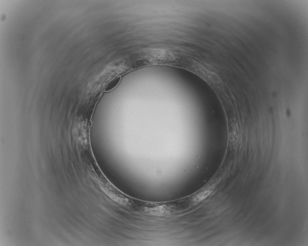 X0000057090430200509161634