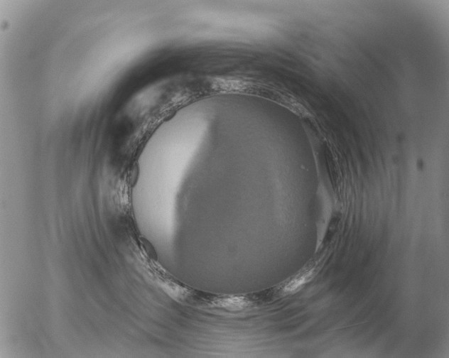 X0000057090431200509161634