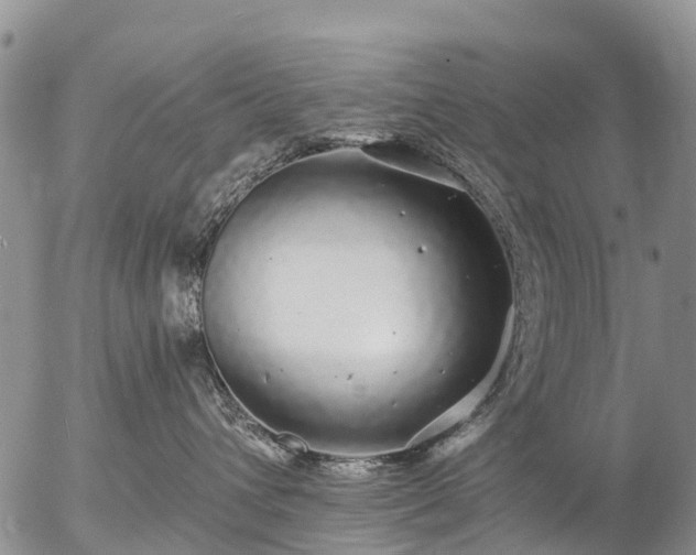 X0000057090432200509161634