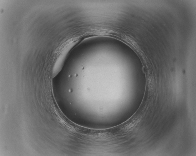 X0000057090433200509161633