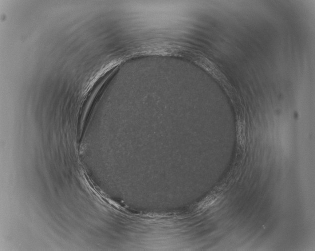 X0000057090434200509161633