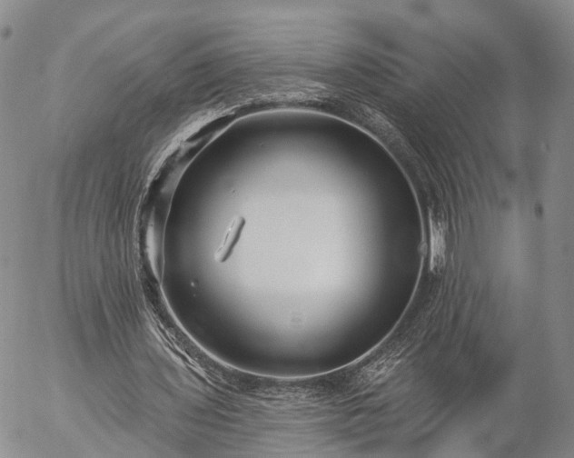 X0000057090435200509161633