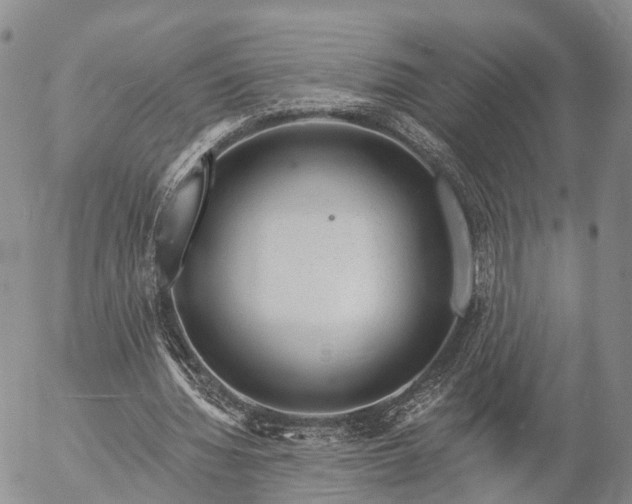 X0000057090436200509161633