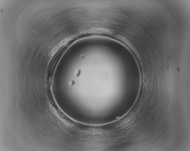 X0000057090437200509161633