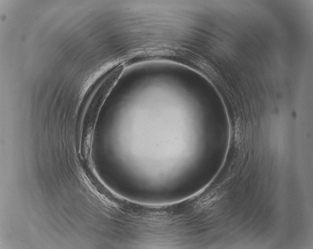 X0000057090438200509161633