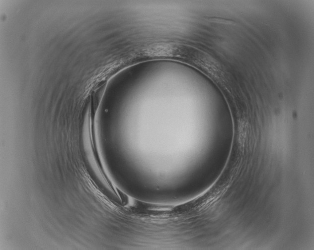 X0000057090441200509161633