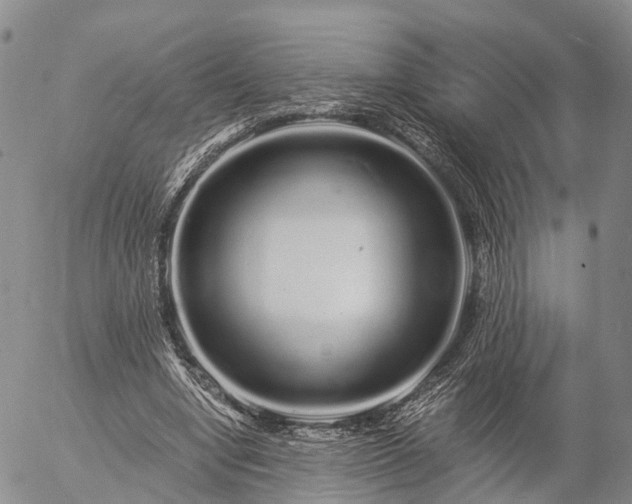 X0000057090442200509161633