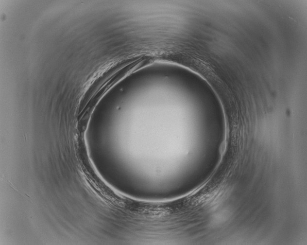 X0000057090443200509161633