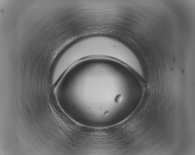 X0000057090444200509161633