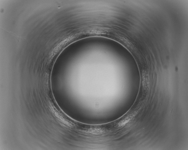 X0000057090445200509161633