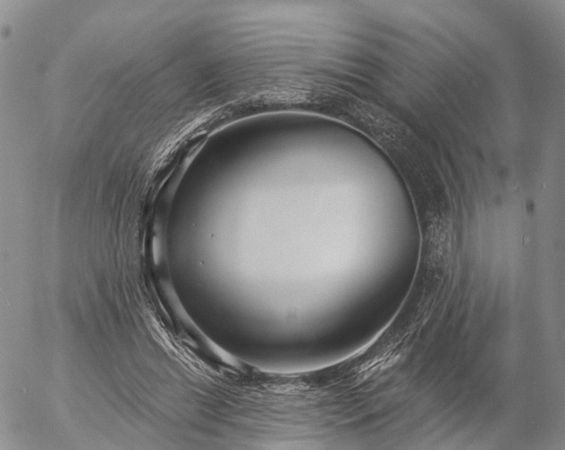 X0000057090446200509161633