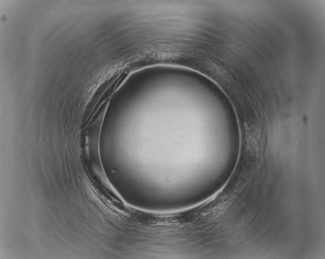 X0000057090447200509161633