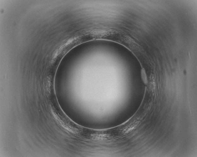 X0000057090448200509161633