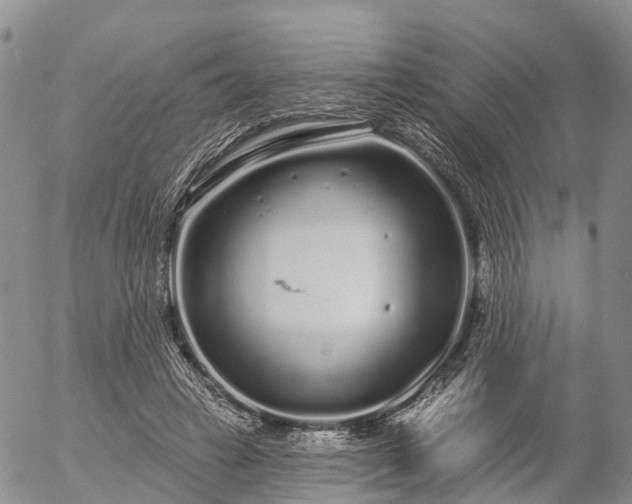 X0000057090449200509161633