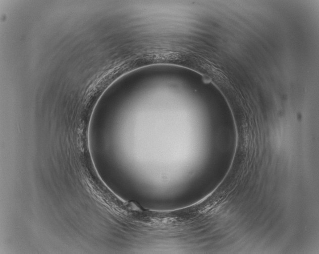 X0000057090450200509161633