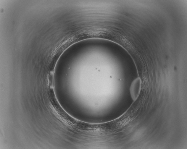 X0000057090454200509161633