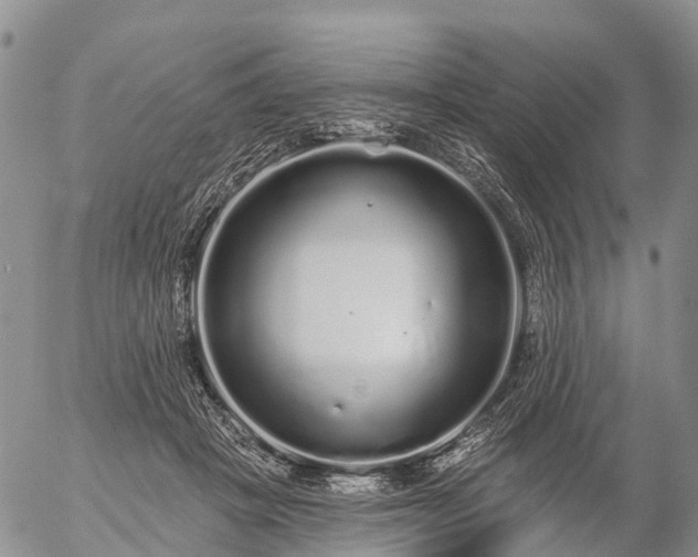 X0000057090457200509161633