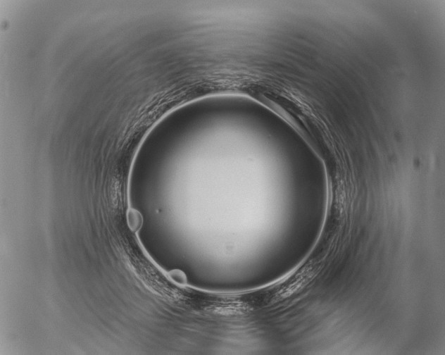 X0000057090459200509161634