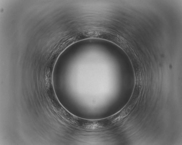 X0000057090460200509161634