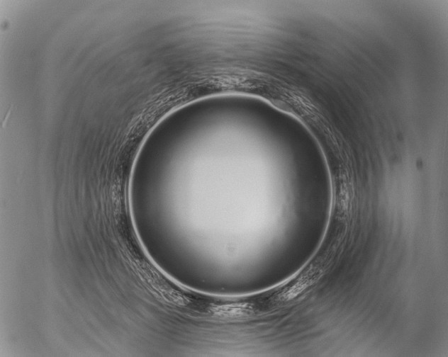 X0000057090461200509161634