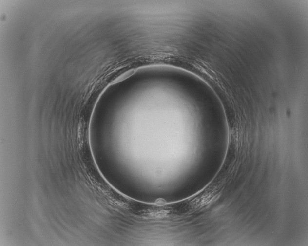 X0000057090462200509161634