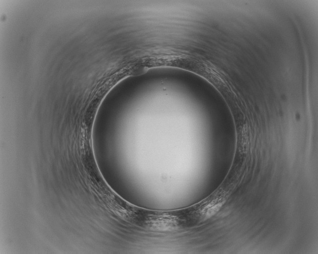 X0000057090463200509161634