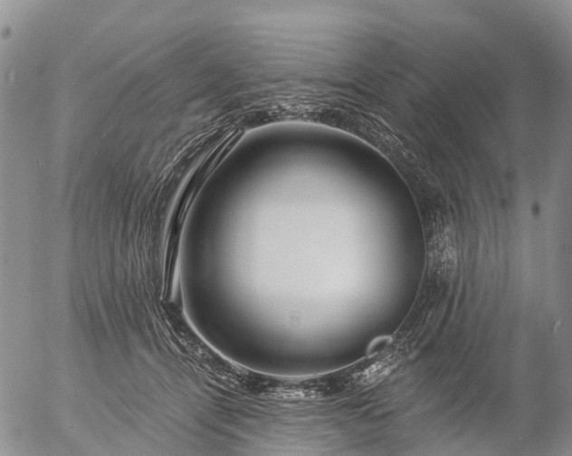 X0000057090464200509161634