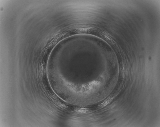 X0000057090467200509161634