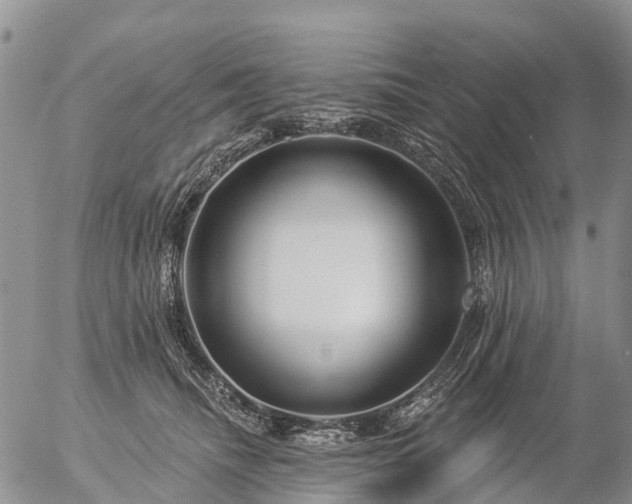 X0000057090468200509161634