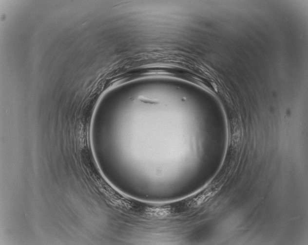 X0000057090469200509161634