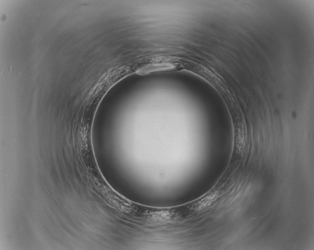 X0000057090473200509161634