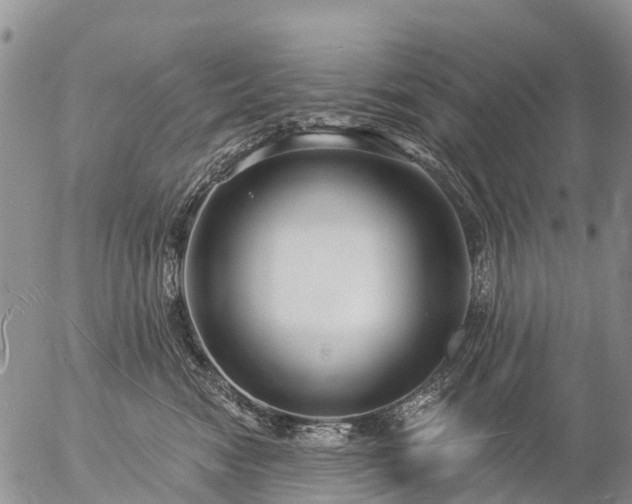 X0000057090474200509161634