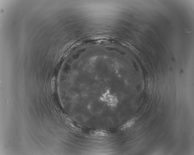 X0000057090475200509161634