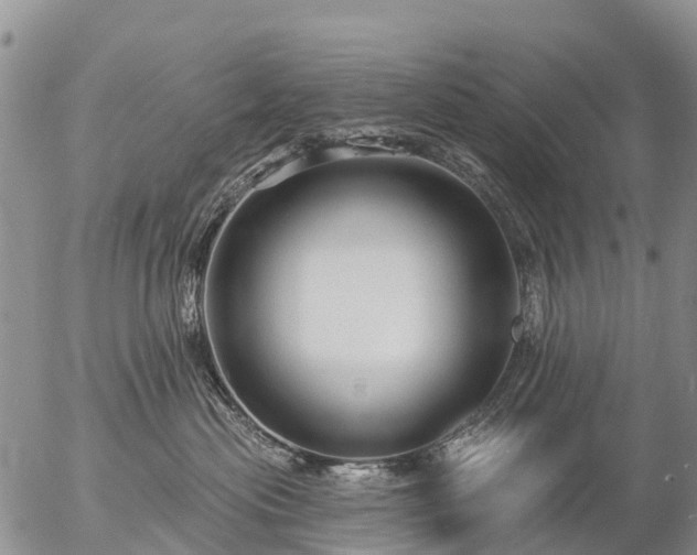 X0000057090477200509161634