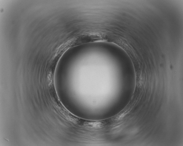 X0000057090478200509161634