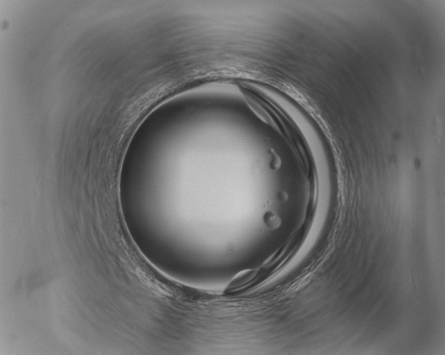 X0000057090481200509161633