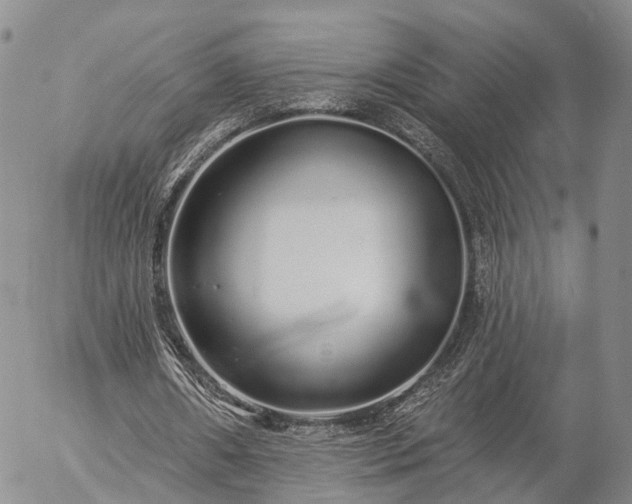 X0000057090482200509161633