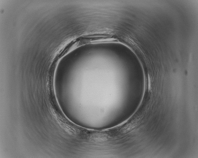 X0000057090483200509161633