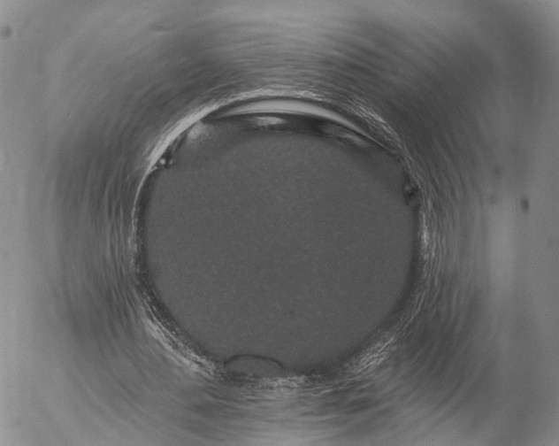 X0000057090484200509161633