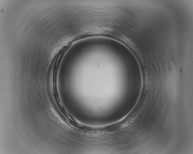 X0000057090485200509161633