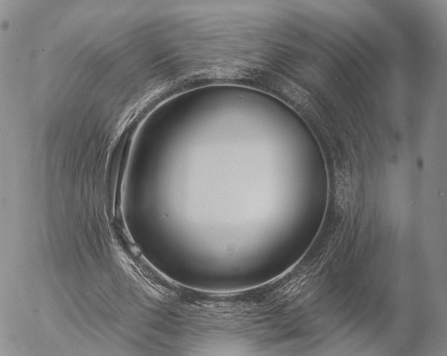 X0000057090486200509161633