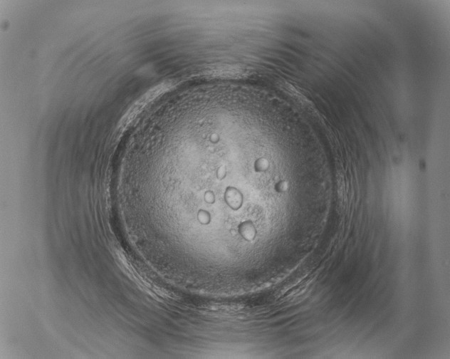 X0000057090487200509161633