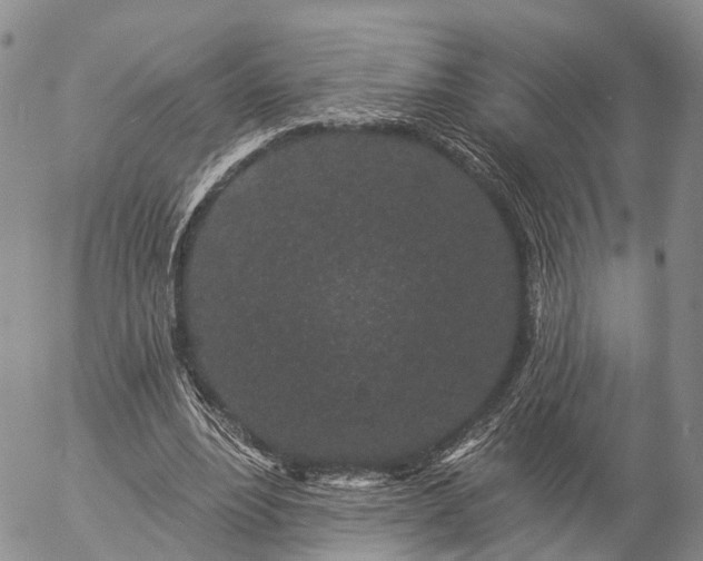 X0000057090488200509161633