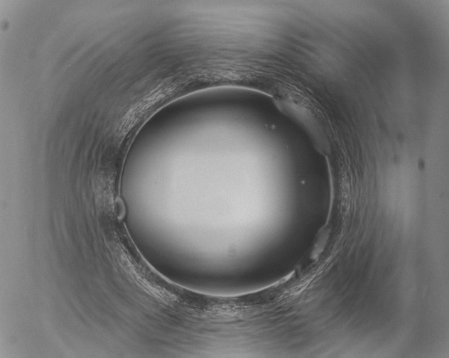 X0000057090489200509161633