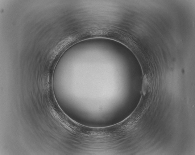 X0000057090490200509161633