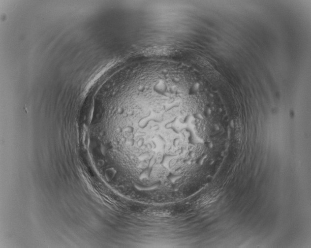 X0000057090491200509161633