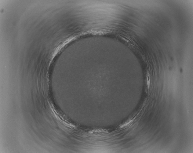 X0000057090492200509161633