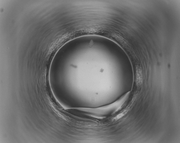 X0000057090493200509161633